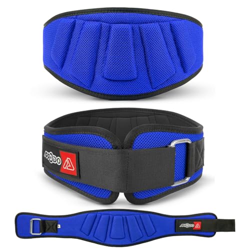 APRODO Power Guidance Nylon Weightlifting Belt Lumbar Waist Support Trainer Protector Belts for Weight Lifting Fitness Sport Gym for Men and Women