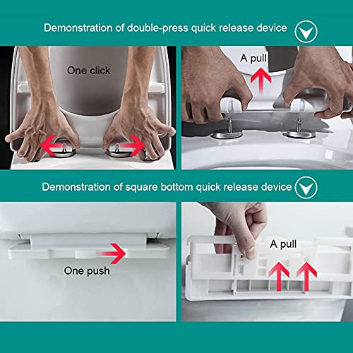 Sedile WC Ammortizzato, Copriwater Rettangolare