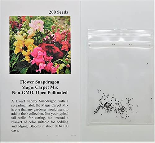 Flower Snapdragon Magic Carpet Mix Fba-2245 (Multi) 200 Non-Gmo, Heirloom Seeds #TOP1