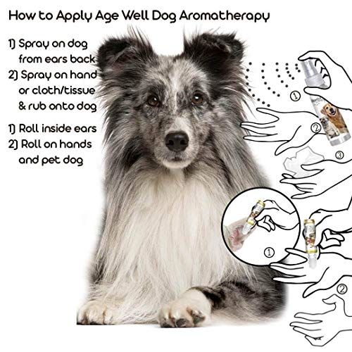 Image of The Blissful Dog Shetland Sheepdog Age Well Spray Aromatherapy