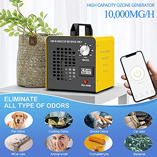https://m.media-amazon.com/images/I/51iKqqwmVXS.jpg