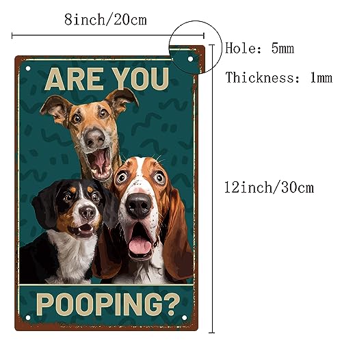 CREATCABIN 3Dogs Blechschild Toilette Vintage Metallschild Are You Pooping Retro Gemälde Plakette Eisenschild Wanddekoration Kunstwandbild Aufhängen Für Toilette,Waschraum,Badezimmer,30x20cm