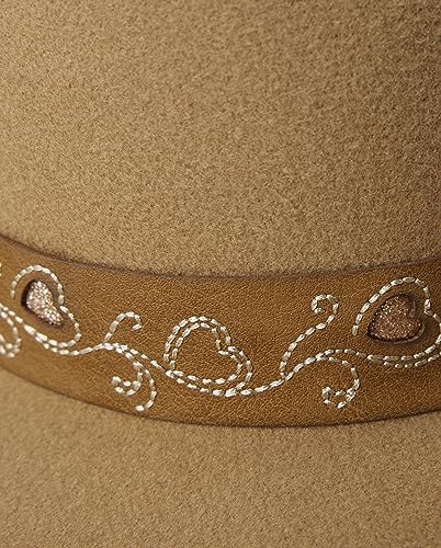 Gymboree,and Toddler Cowgirl Hat2