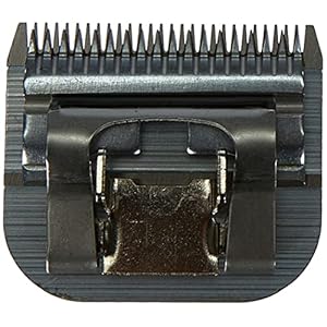 Oster CryogenX Detachable Pet Clipper Blade, Size 30 (078919-026-005),Large