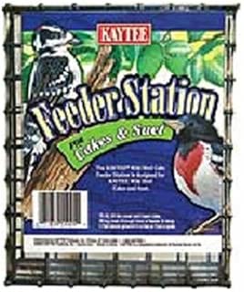 Amazon Com Kaytee Feeders Birds Patio Lawn Garden