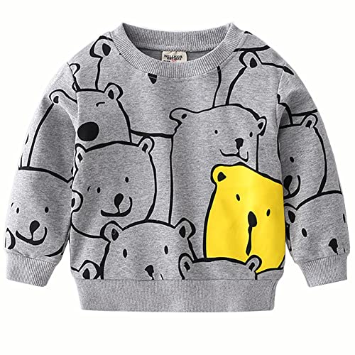 Boys Toddlers Dinosaurs Sweatshirts Long Sleeve Shirt Kids Pullover Tops2