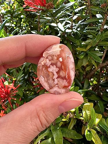 Image of 1 /2 LB Tumbled Stones - Polished Flower Agate Gemstone Healing Crystals