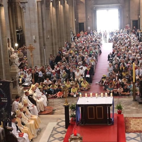 Page de couverture de Après le pèlerinage pour les vocations du 1er mai à Ste Anne d'Auray
