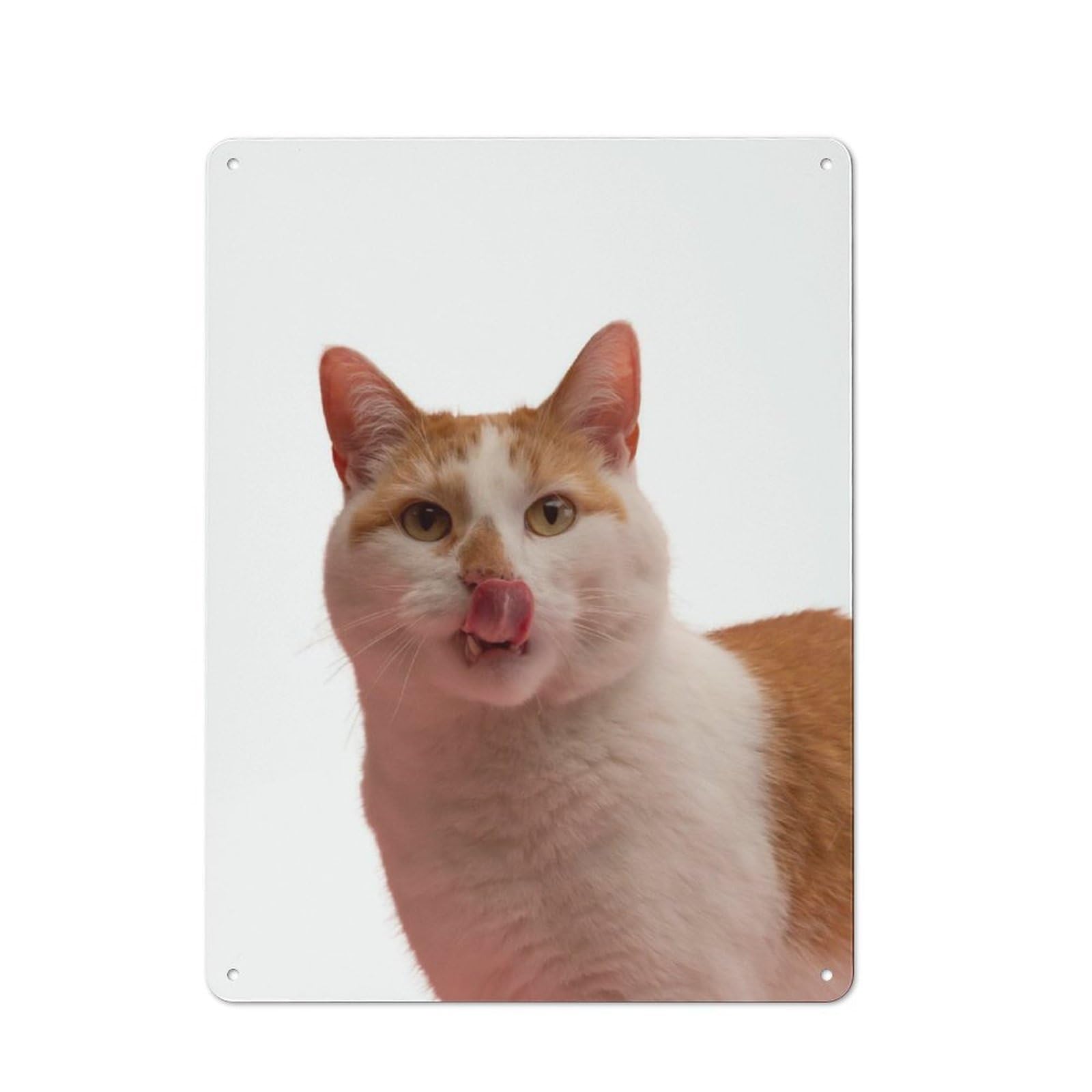 Junmoney Cat Meme Tin Sign 40X30cm With For Workshop Wall, Vintage Decor, For Metal Sign Collectors, For Garage And Workshop Walls