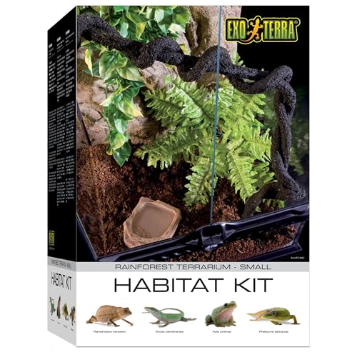 Exo Terra Rainforest Habitat Kit, Terrarien Starter Set Regenwald, inkl. Abdeckung, Thermometer, 3 künstlichen Pflanzen, Bodengrund, Wassernapf, 1 Liane, 30 x 30 x 45cm