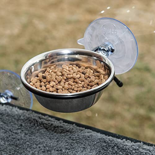 7 Best Dog Proof Cat Feeders Maine Coon Hawaii (2023 Reviews)