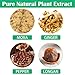 Mugwort Belly Patch, 30Pcs Navel Wormwood Sticker, Natural Wormwood Belly Sticker for Women and Men, Abdomen Belly Pads, Belly Patches for The Whole Body
