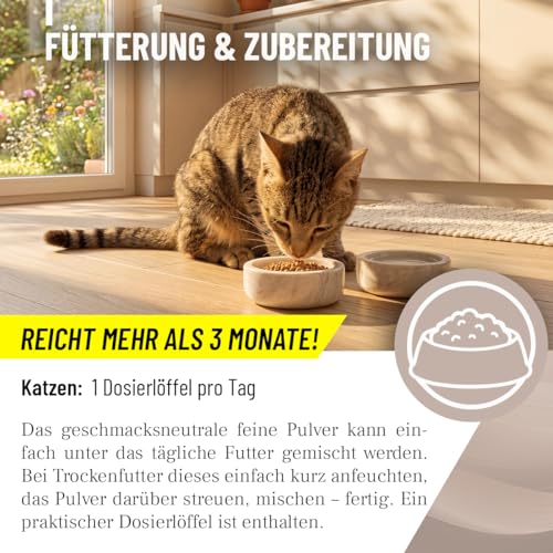 ReaVET Gelenk Complex Katzen 50g – Gelenkpulver mit Kollagen für Gelenke & Knorpel – Unterstützung der Beweglichkeit I Ergänzungsfuttermittel, Natürliche Gelenkunterstützung