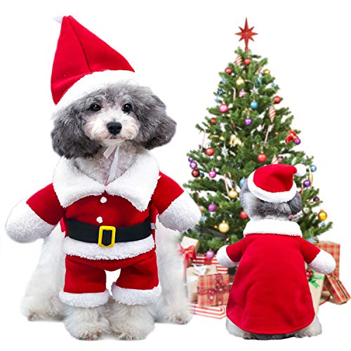 Amazon.co.uk Best Sellers The most popular items in Costumes for Dogs