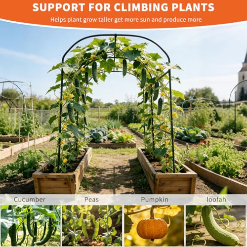 Tall Garden Arch Trellis for Climbing Plants Outdoor,7 ft Arbor Large Arch Tunnel Trellis, Metal Cucumber Trellis, Plant Support Archway Garden Trellis for Vegetables Yard (71.2''L*47.2W*83.1''H) by Generic - Used condition - Image 7