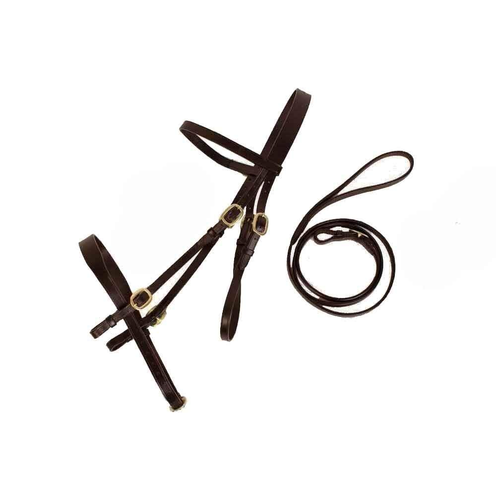 Cameo In Hand Bridle With Lead Brown Cob
