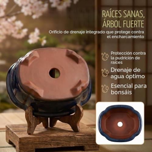 Miniatura 5 de Maceta Para Bonsái Pequeña De Cerámica En Azul Marino - Maceta Para Bonsái Redondeada Presentación De Su Bonsái De Interior - 15 X 5,5 X 11 Cm