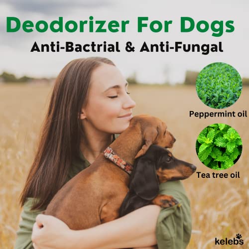 Kelebs Dog Dry Shampoo For Smelly Dogs | Waterless Dry Dog Shampoo Powder | Anti Itch Shampoo For Dogs | Skin Ear & Paw | Tea Tree Oil | Talc Free With Organic White Clay Vegan | No Plastic #TOP4