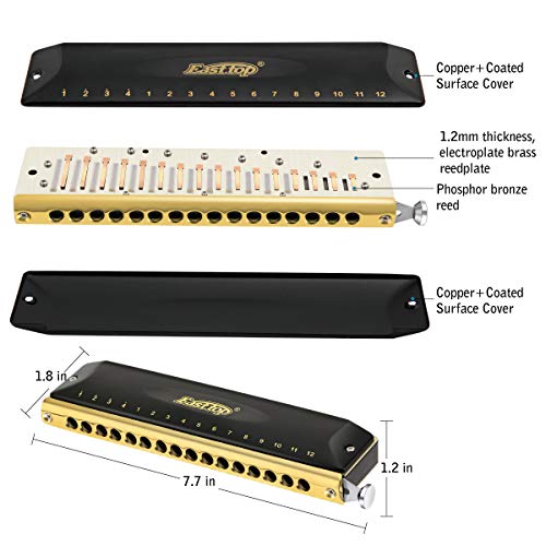 East top Harmonica adulte chromatique professionnel 16 trous 64 tons en Do, harmonica chromatique 16 trous Instrument… - Les Beatles, Paul McCartney, John Lennon, RIngo Starr, George Harrison East top Harmonica adulte chromatique professionnel 16 trous 64 tons en Do, harmonica chromatique 16 trous Instrument… – Image 3