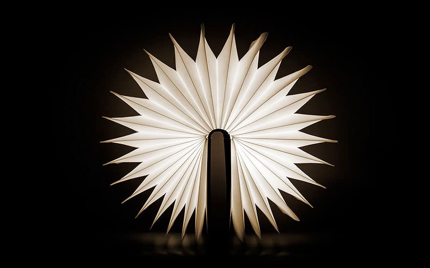 Arion® Book Lamp Rechargeable LED Night Lamp | Best Unique Gifts Ever | Portable Reading Lamp | (Walnut Wood, Yellow), Pack of 1 X 1 X USB Cable (Red, 15.6 x 12.5 x 3 cm) 2