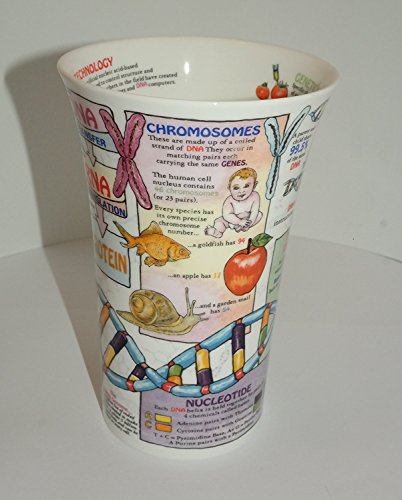 Taza Dunoon Glencoe Fine China 500 ml miniatura 2