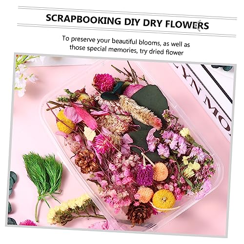 Flores secas naturales para manualidades DIY, ecoamigables miniatura 6