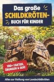 Das große Schildkröten-Buch für Kinder: Über 100 geprüfte Fakten und alles zur Haltung von Landschildkröten: Gehege, Futter, Winterschlaf und Gesundheit. Mit Ausmalseiten, Übungen und großem Quiz