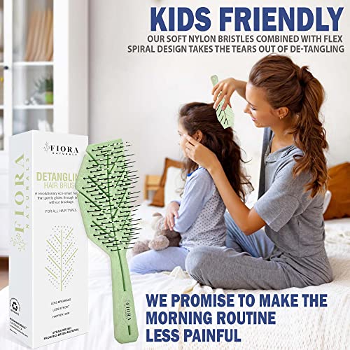 Hair Brush Set For Women - Fiora Naturals Hair Detangler Brush, Round Brush, And Comb Set - Bio-Friendly Hairbrushes For Detangling And Blow Drying - For All Hair Types, Natural, Fine & Curly. #TOP3