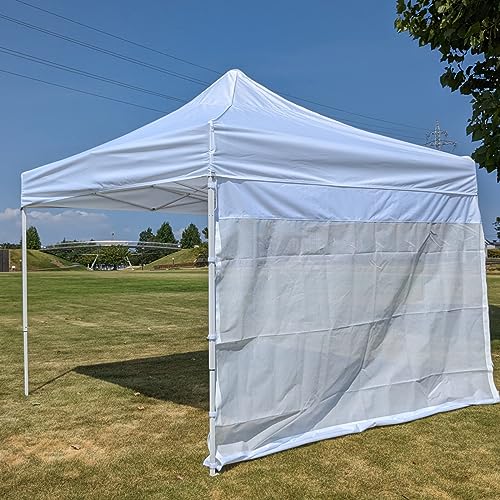 Fungoal bV (2M) ȈՃeg ^b`egpy{̕ʁzTChEH[