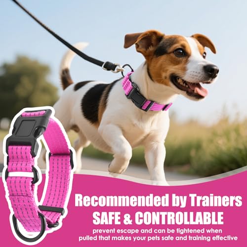 Image of Martingale Dog Collar, Reflective No Pull with Buckle, Pink, S | Escape Proof without choking ,Training Collar with Quick Release Buckle, Adjustable Heavy Duty Nylon collars for S M L Dogs