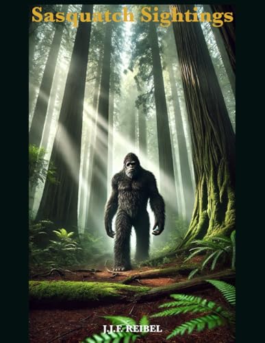 Sasquatch Sightings poster vintage décoratif pour salon - 2