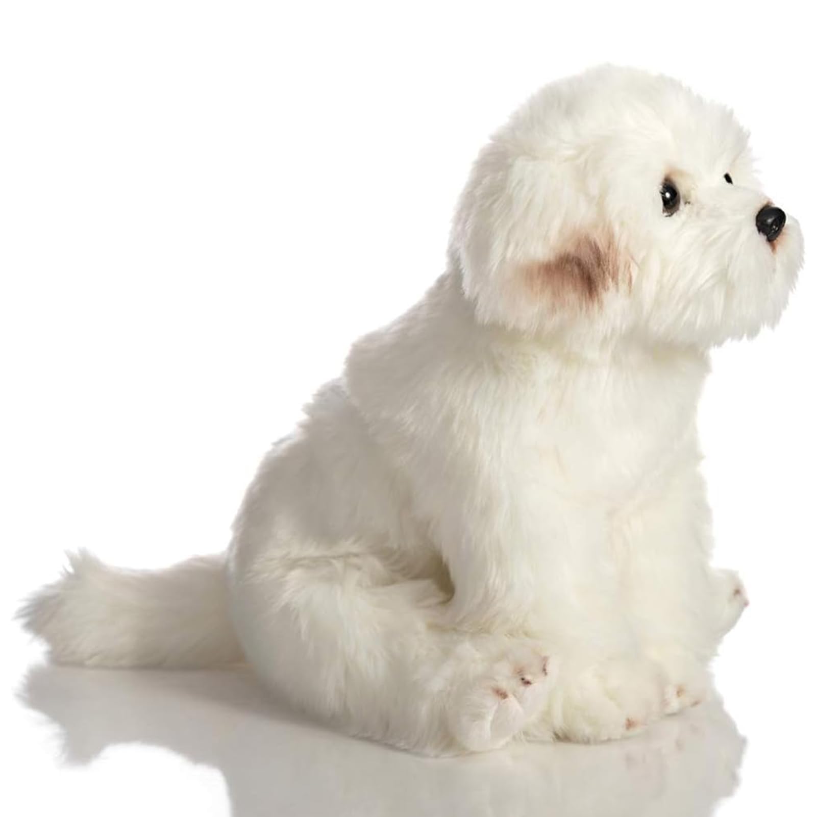 Amazon.co.jp: HollyHOME マルチーズ ぬいぐるみ リアル マルチーズ 犬