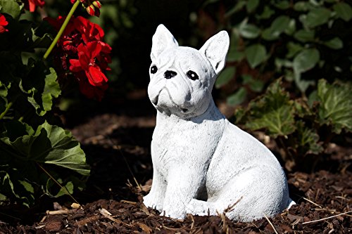 stoneandstyle Steinfigur französische Bulldogge Dogge Hund, Frost- und Wetterfest, handgearbeitet