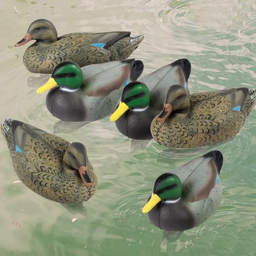 GIGYES Señuelo de pato flotante, (3 machos y 3 hembras), paquete de 6 señuelos de pato buzo para caza y decoración