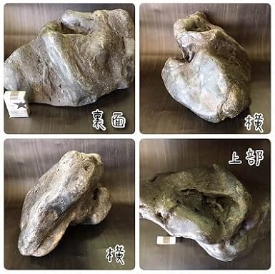長者抹香石　静山　水石 鑑賞石 楽天市場】【水石】 宇和島 抹香石 （愛媛） 天然 【自然石 鑑賞