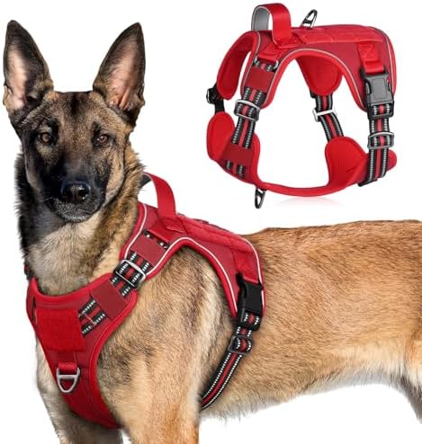 rabbitgoo Hundegeschirr Grosse Hunde Anti-Zug, XL, Rot | MOLLE-System, Heavy Duty, Sicherheitsschnallen, Weiche Polsterung, 2 D-Ringe, Reflektierend für Taktisches Hundetraining