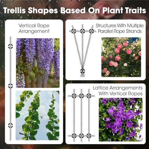 Image of 20 Pack Wall Trellis Kits System,Cross Cable Clamps, T316 Stainless Steel Heavy Duty Cable Clips for 1 /8 inch Wire Rope Fitting, Wire Trellis for Climbing Plants Outdoor, WT003