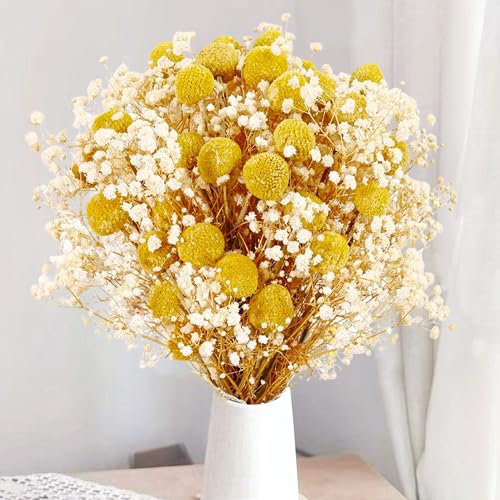 50 Pzas Flores Secas Billy Balls y Baby’s Breath miniatura 1