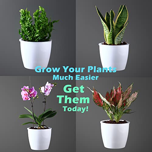 Delf 6 Pack 6.7" Self-Watering Planters Flower Pots For Indoor Garden Devil's Ivy, African Violet, Ocean Spider Plant, Orchid, White Color #TOP6