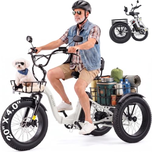 ANCHEER 749W Two Basket Trike