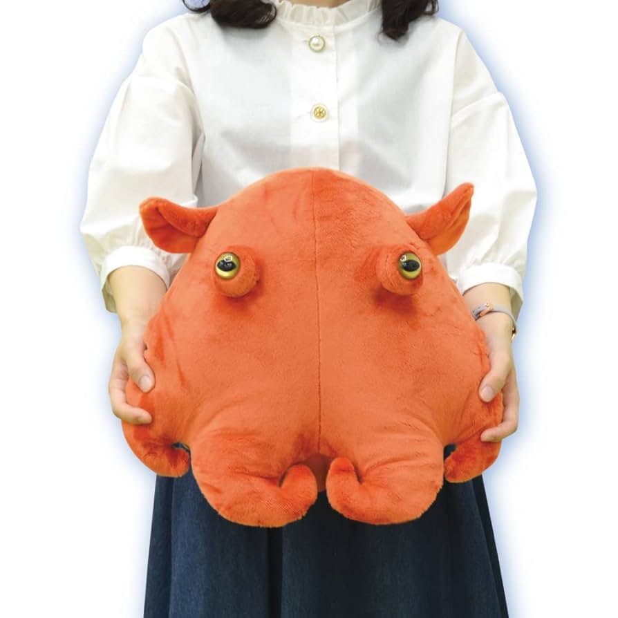 メンダコページ 51iLbMppsML._UF894,1000_QL80_.jpg