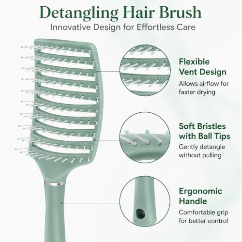 Image of GLUN Portable Detangling Hair Brush Pack of 1 Green Colour, Curly & Straight Hair Brush for Women & Men Accessories Use in Salon, Home & Personal Use