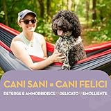 The Healthy Dog Co B07P1BQ5WN lato 3