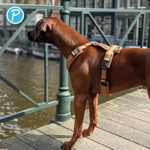 Petlando Hundegeschirr Mesh Y-Comfort mit atmungsaktivem Mesh, leicht & robust, stufenlos verstellbar, Farbe Cognac, Größe M (Halsumfang 46-74 cm, Brustumfang 50-74 cm), Brustgeschirr Hund mittel