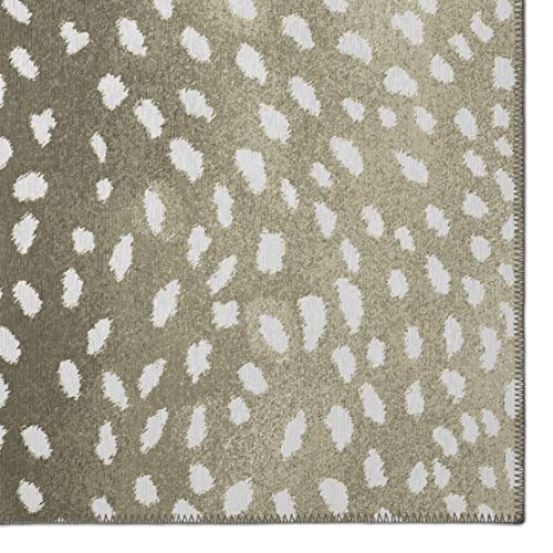 Tapete interior/exterior 5x7.5 pies Chenille lavable miniatura 5