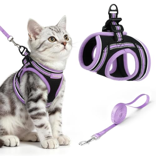 Image of rabbitgoo Cat Harness and Leash Set, Step-in Soft Vest, Black-Light Purple | Escape Proof, Lightweight, Easy-on & Adjustable, Hook & Loop with Buckle, Reflective, for Kittens & Small Cats Walks, M