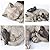 Sleeping Cat Garden Statues Outdoor - 12"Sparrows On Cat Figurine Memorial Statue Grave Markers Garden Resin Sleeping Cat Statues for Garden Decor Outdoor Cat Statue Resin 12" x 8" x 4.5"LC LCdecohome