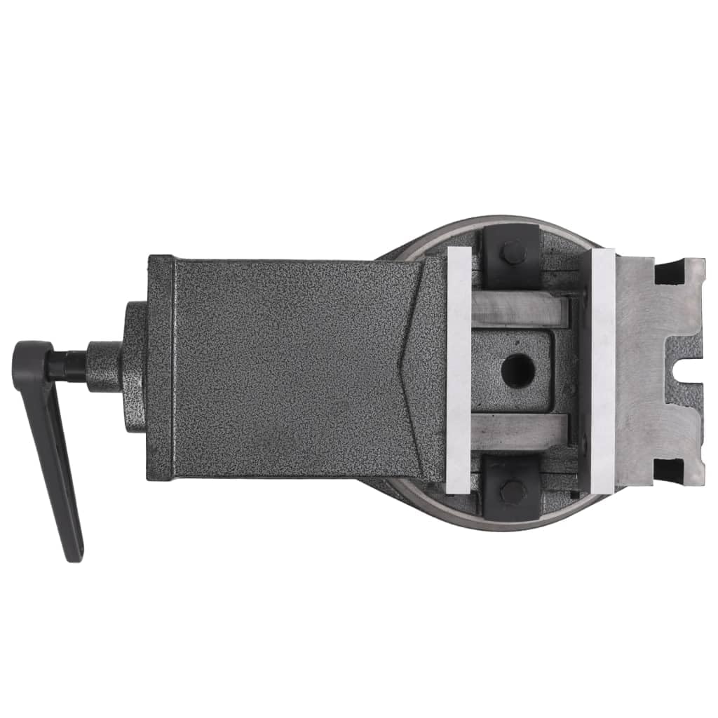 2-Achsen-Schraubstock 160 mm Kippbar aus Gusseisen mit Schwenk- und Drehfunktion, Höhenverstellbar, für Werkstatt, Metall- und Holzbearbeitung, mit stabilem Basisgestell