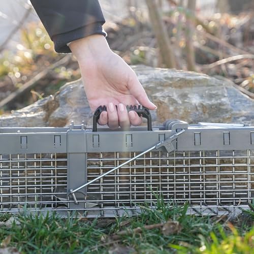 Havahart 1026 Small 1-Door Humane Live Catch and Release Animal Trap for Squirrels, Weasels, Chipmunks, and Small Animals,White