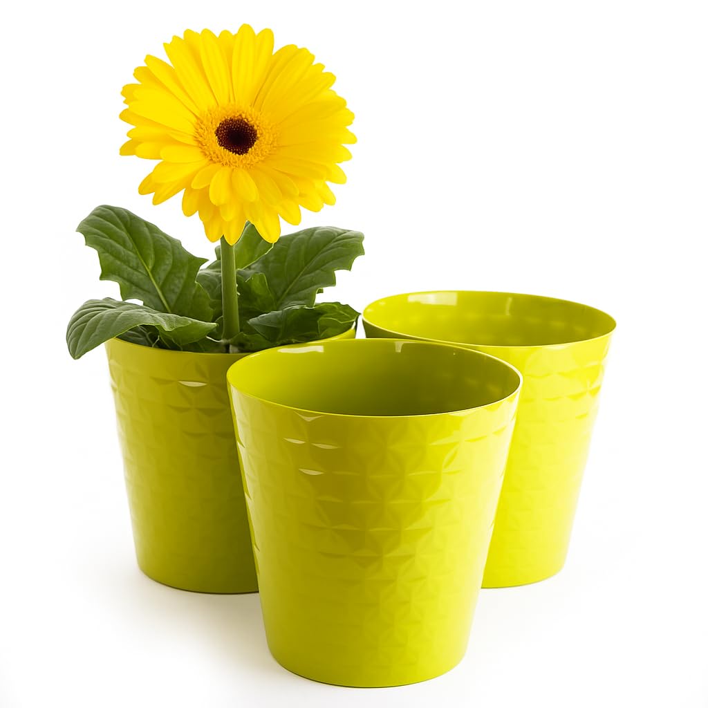 Home Garden Ornaments Plant Pots Indoor 3 Pcs Glossy & Pearly Look